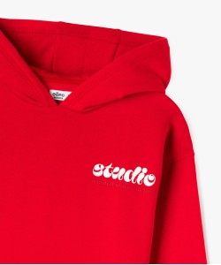 Sweat à capuche avec intérieur molletonné garçon
